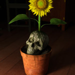 Skullflower